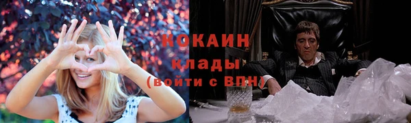 твердый Богородицк