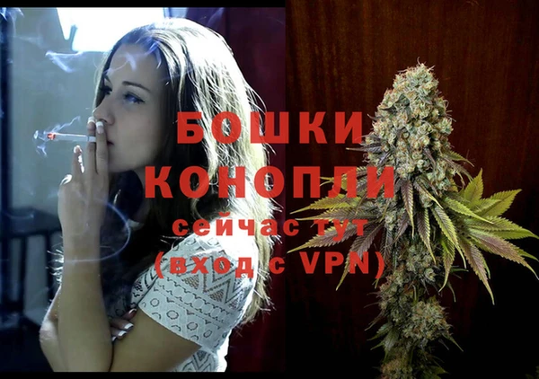 твердый Богородицк