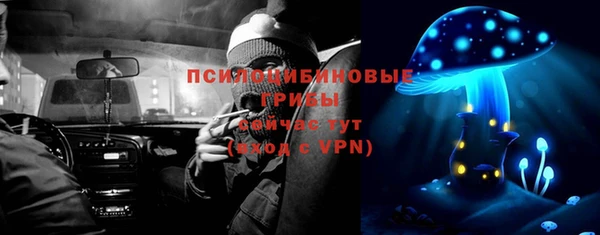 крисы Богданович
