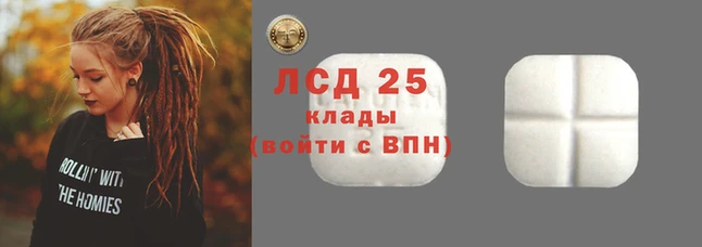 ГАЛЛЮЦИНОГЕННЫЕ ГРИБЫ Богородск