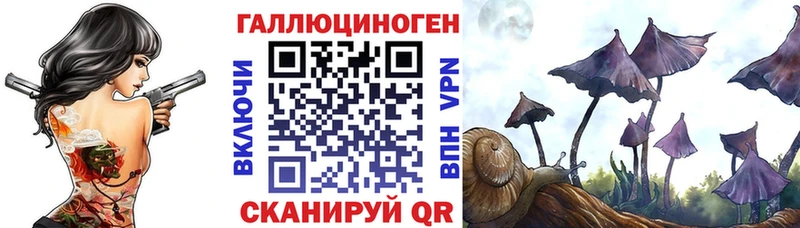 Псилоцибиновые грибы MAGIC MUSHROOMS  Купить закладки  Гусь-Хрустальный 